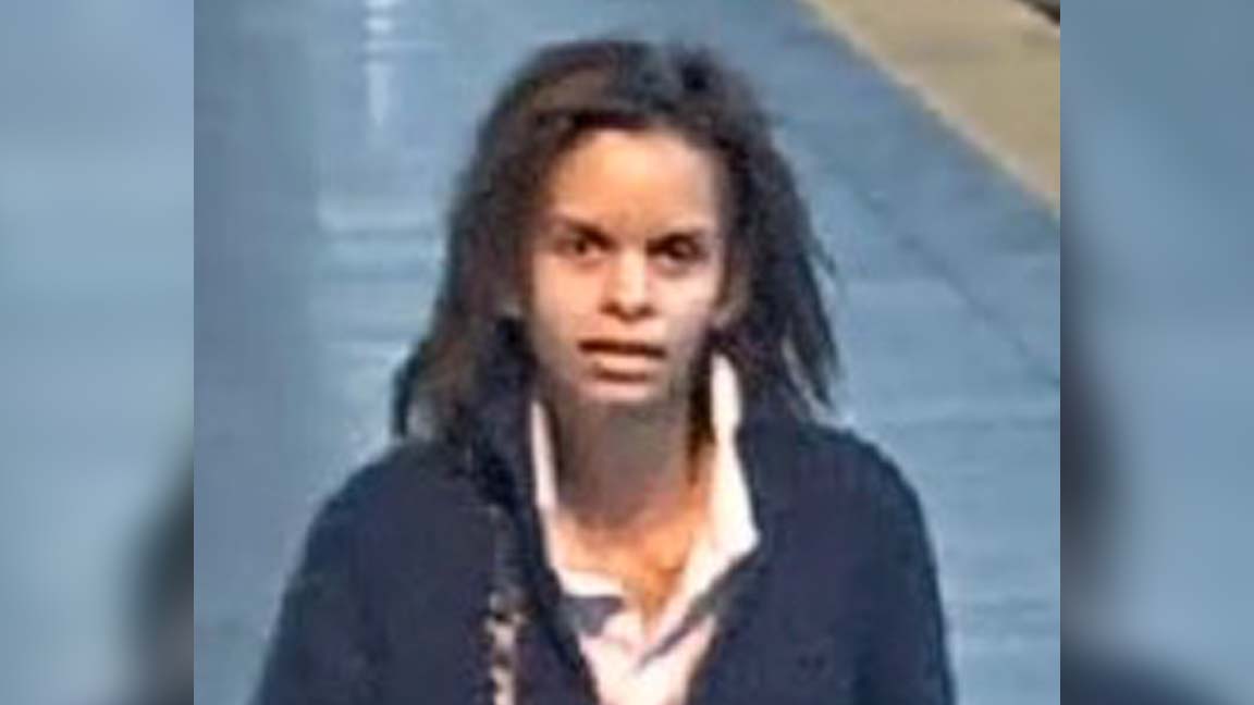 Caught up: Woman arrested in connection with multiple TTC attacks