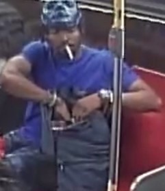 Suspect Sought in Sexual Assault Investigation, Finch Avenue East and Leslie Street area, Images Released