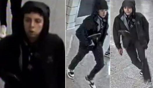 Suspects sought in assault and robbery at TTC subway station