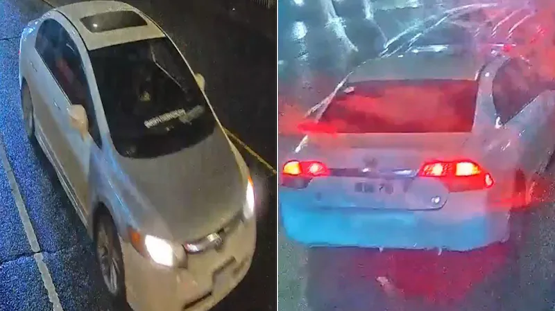 Toronto police search for suspect car after 2 moving vehicles, 20 TTC bus shelters shot with projectile