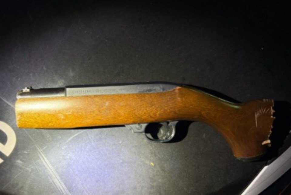 Man arrested for carrying gun into TTC stations